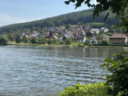 Mainschwimmen Juni 2026